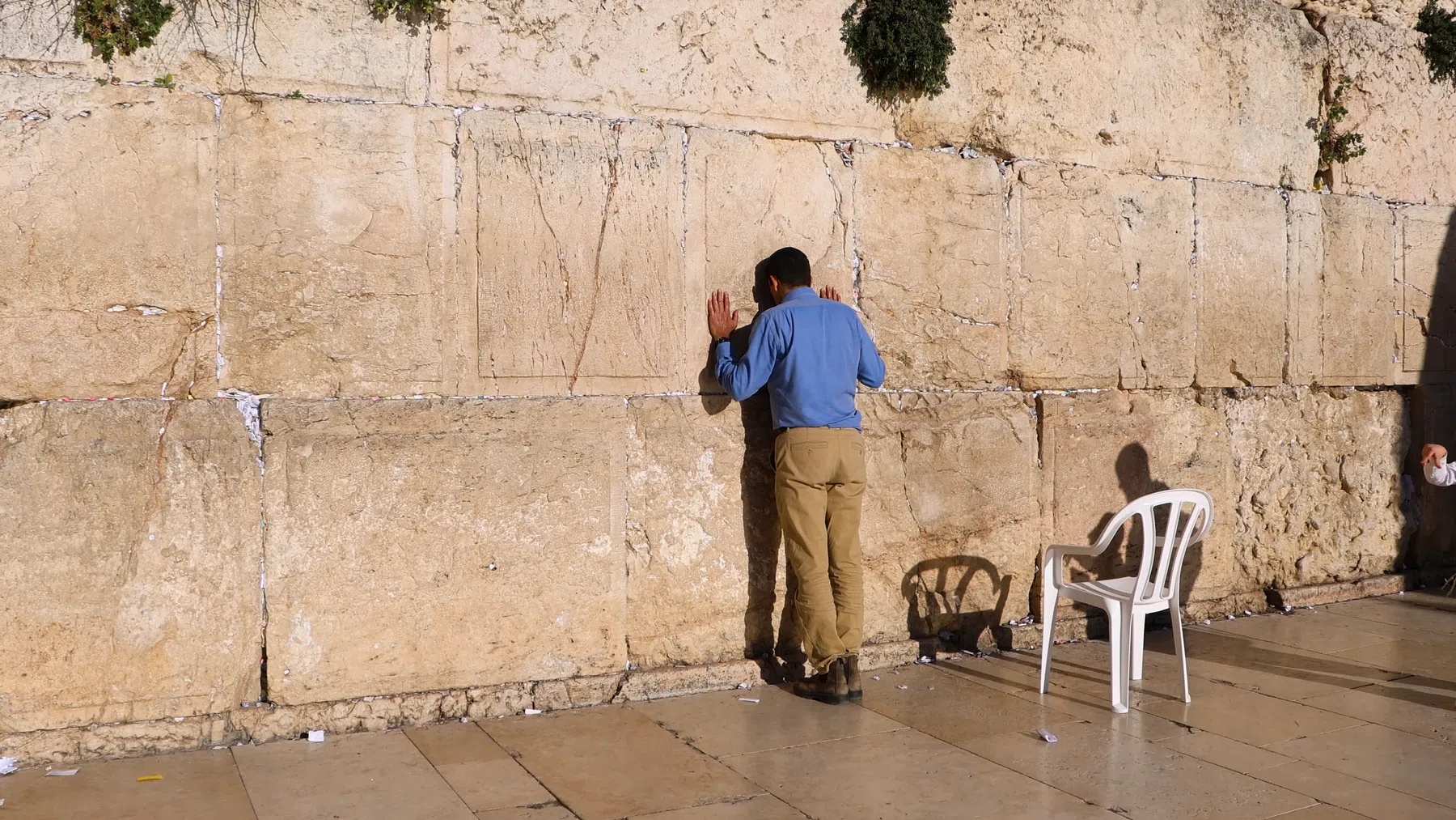 El Camino del Shalom - Richard Kaufmann