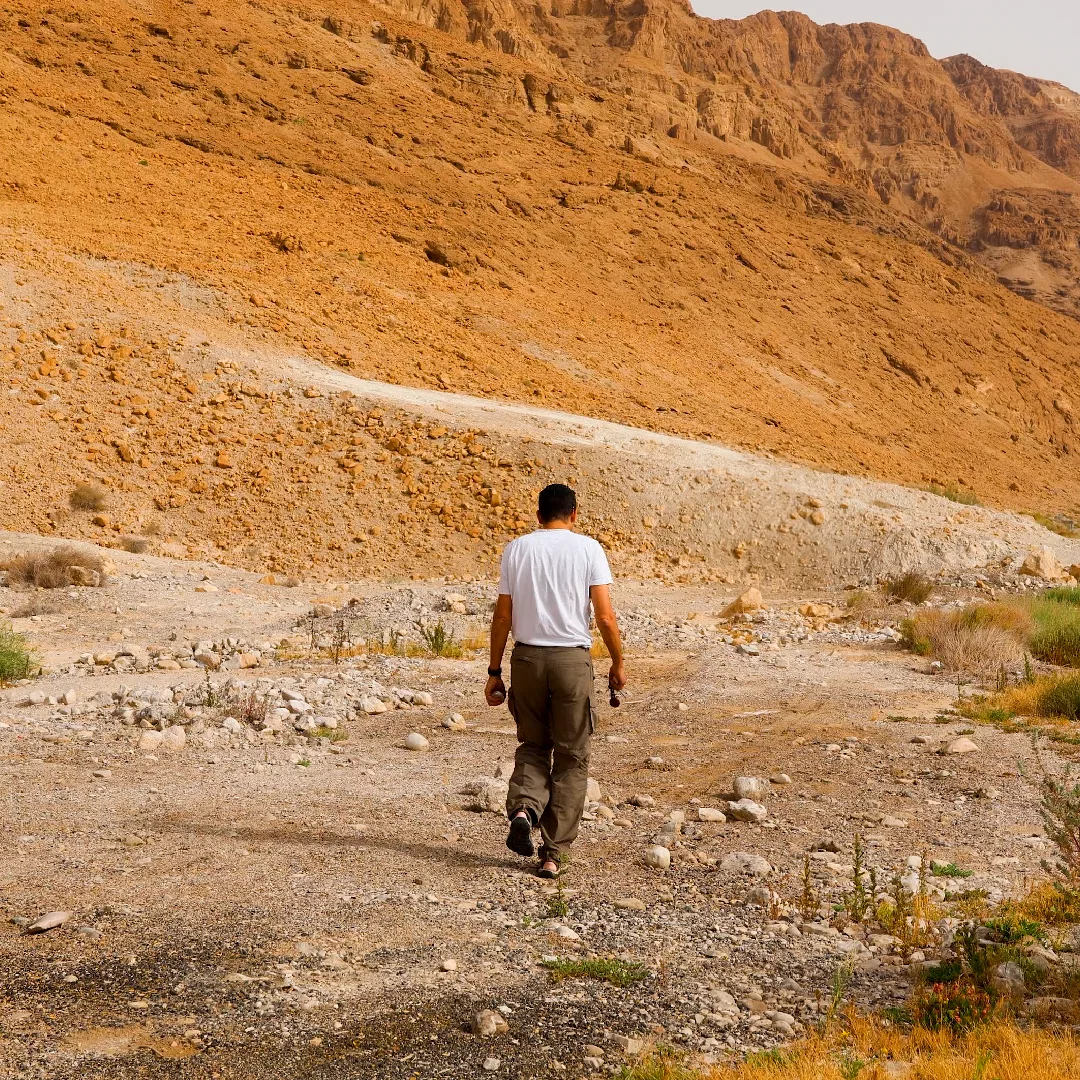 Masada, fortaleza en las alturas del desierto
